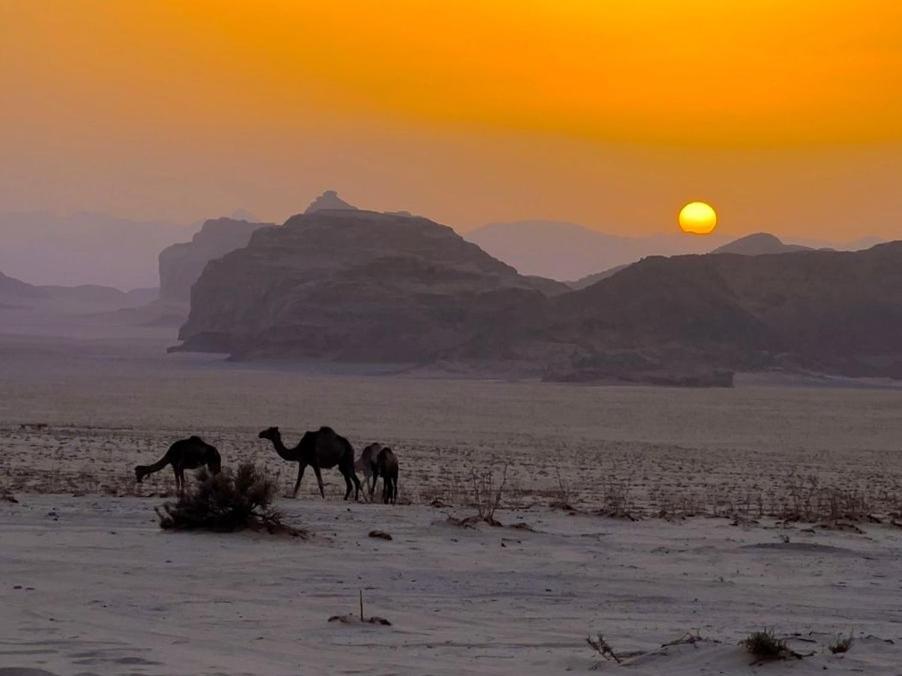 White Desert Camp Wadi Rum Extérieur photo