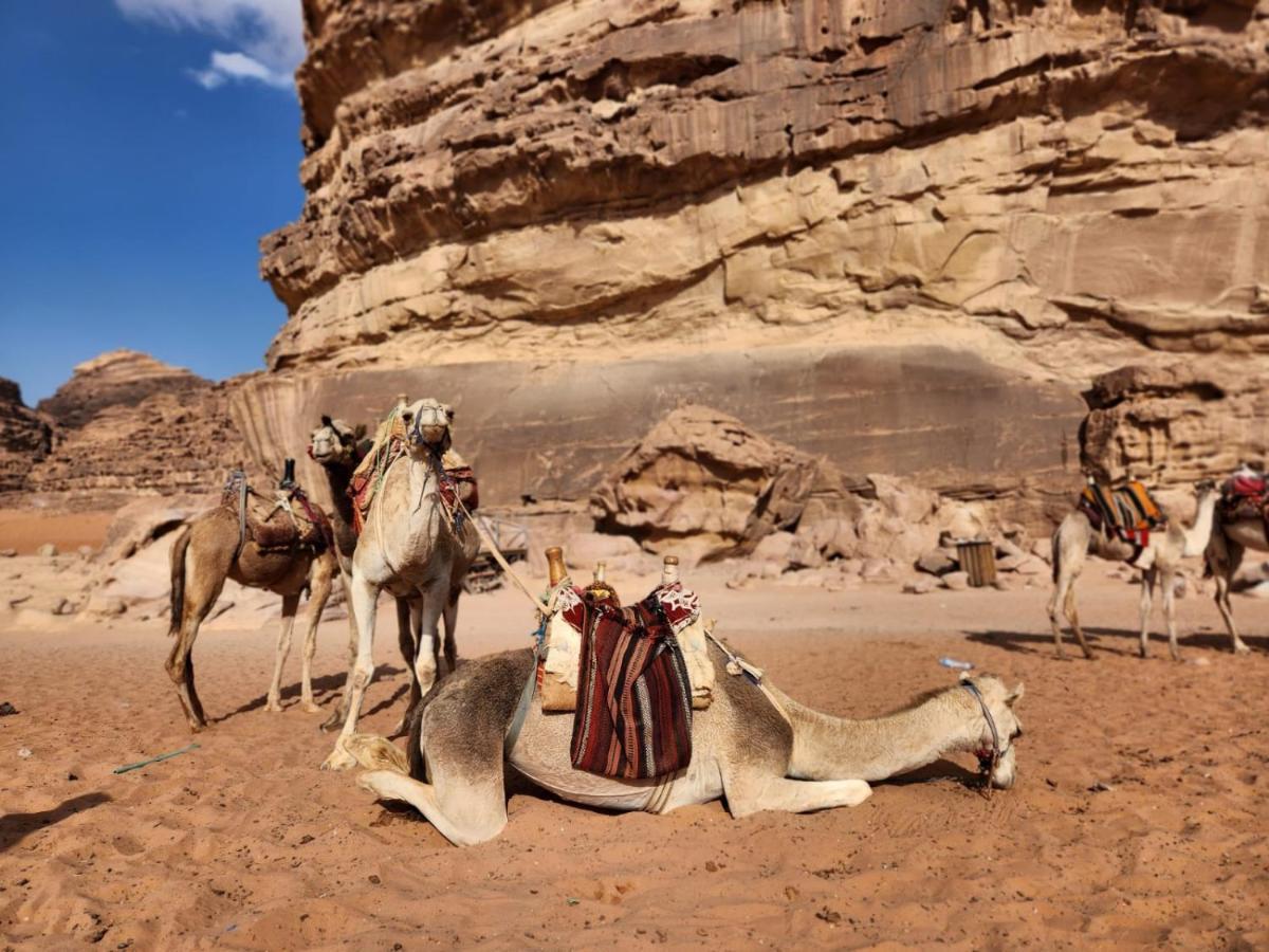 White Desert Camp Wadi Rum Extérieur photo